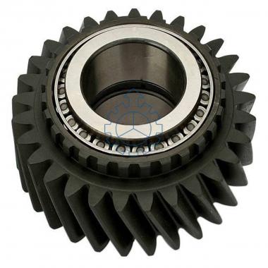 Gear, With Bearing