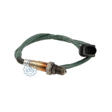 Oxygen Sensor